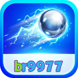 br9977